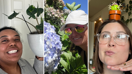 What's Your Plant Type?