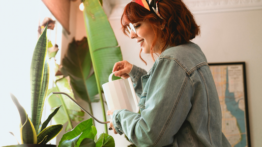 Woman watering plants next to bright window