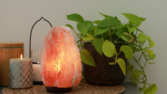 Houseplant Wisdom: 3 Quotes + 3 Affirmations (with love from your plants)