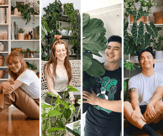 Follow these Plant Influencers to Inspire Your Next Shelfie