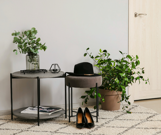 Tips to Keep Your Houseplants Happy While You Travel