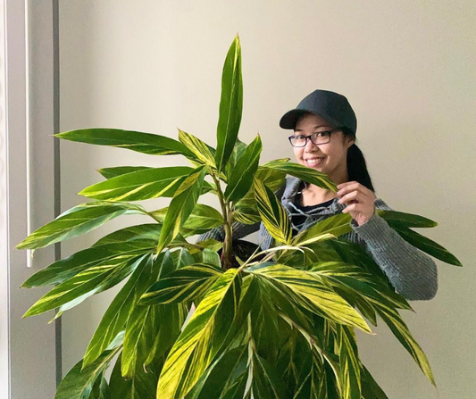 5 of your fave plant influencers reveal the greenery they can't live without