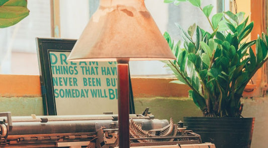 Signs That Your Houseplants Need More Light