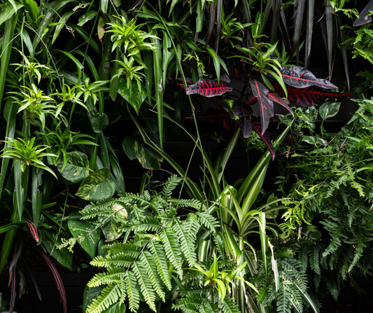 vertical garden on balcony