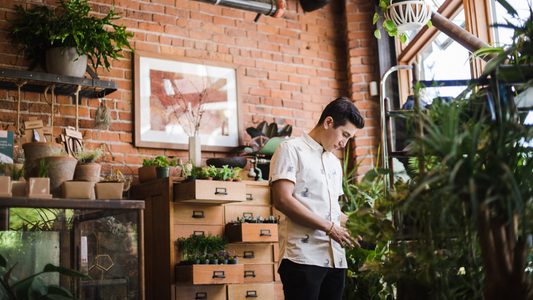 The 5 things you should do when you get a new plant
