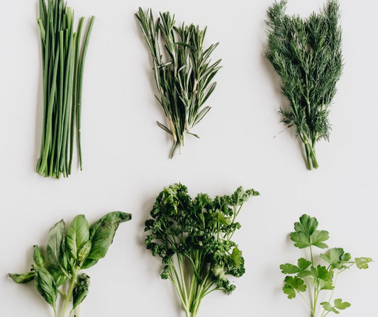 5 Tips To Grow Thriving Herbs Indoors