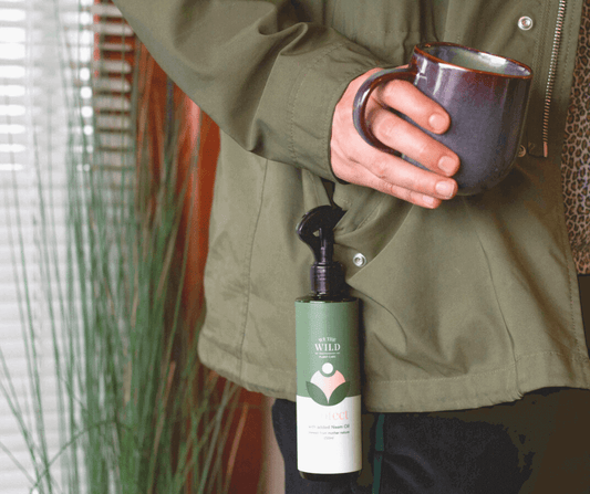 4 things you can do to keep your houseplants happy through winter