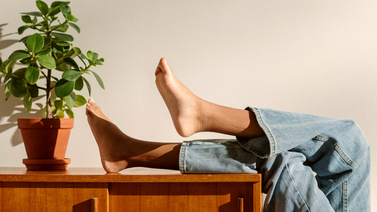 Cover the basics with these 6 essential plant care tips