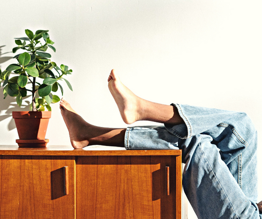 Spring Houseplant Guide for South Australia