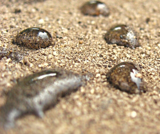 What is Hydrophobic Soil and How do I Fix it?