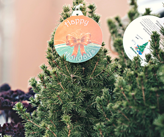 How to Keep Your Potted (or cut) Christmas Tree Alive and Thriving!