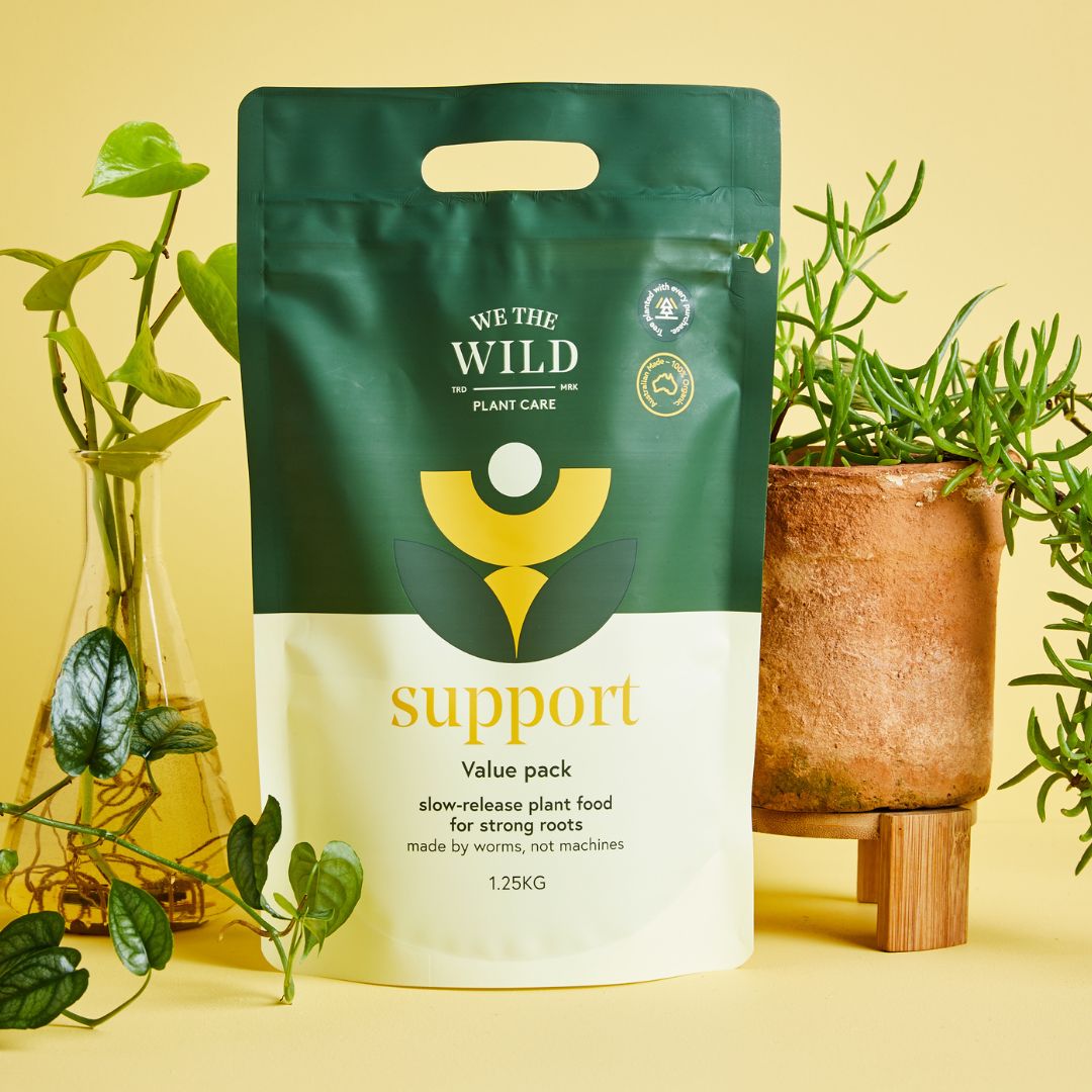 Revive & Thrive Plant Care Kit