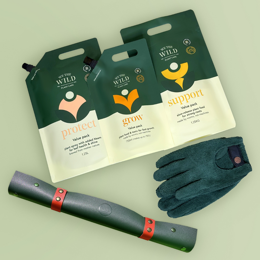 Essential Value Bundle For Houseplants
