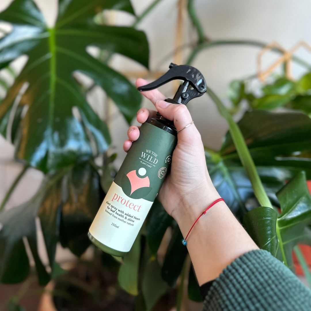 Pest & Leaf Shine Kit