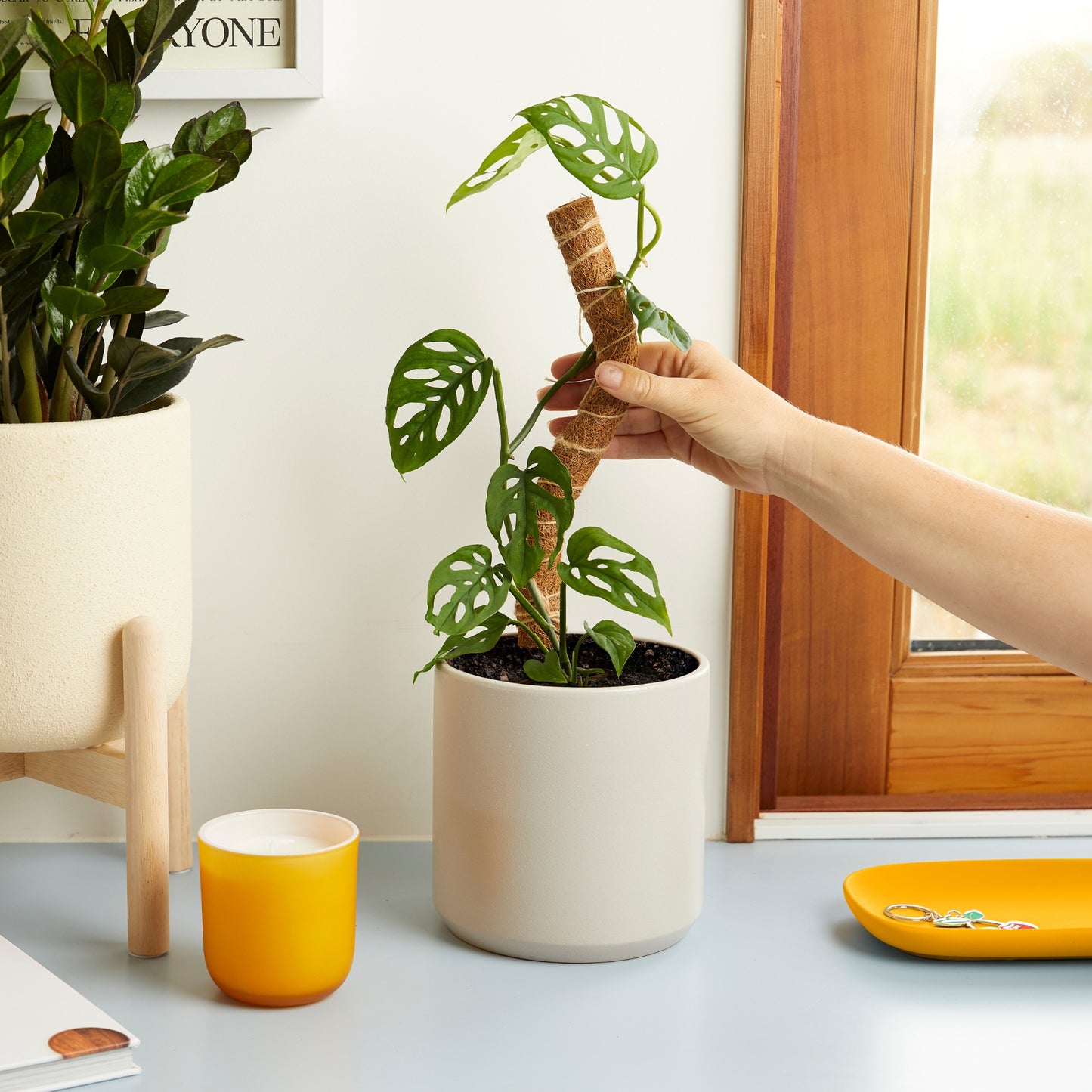 Coco Climber Stackable Grow Pole