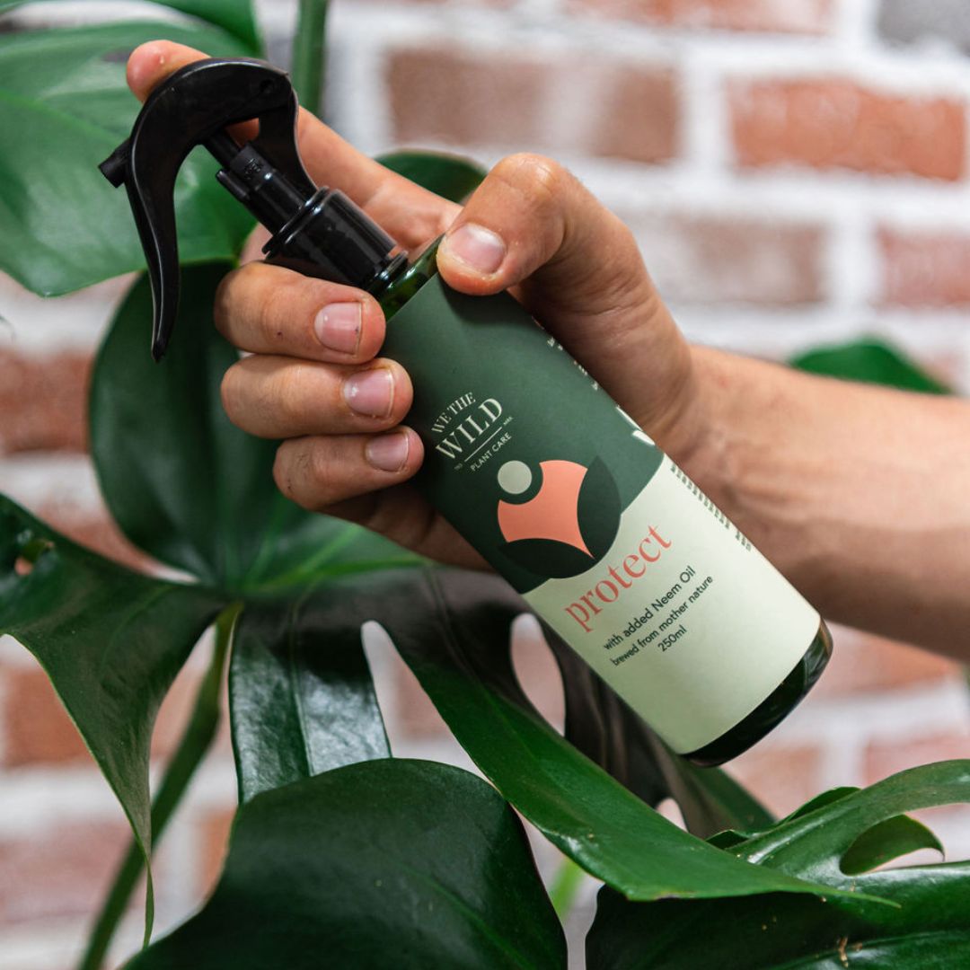 Protect Spray with Neem