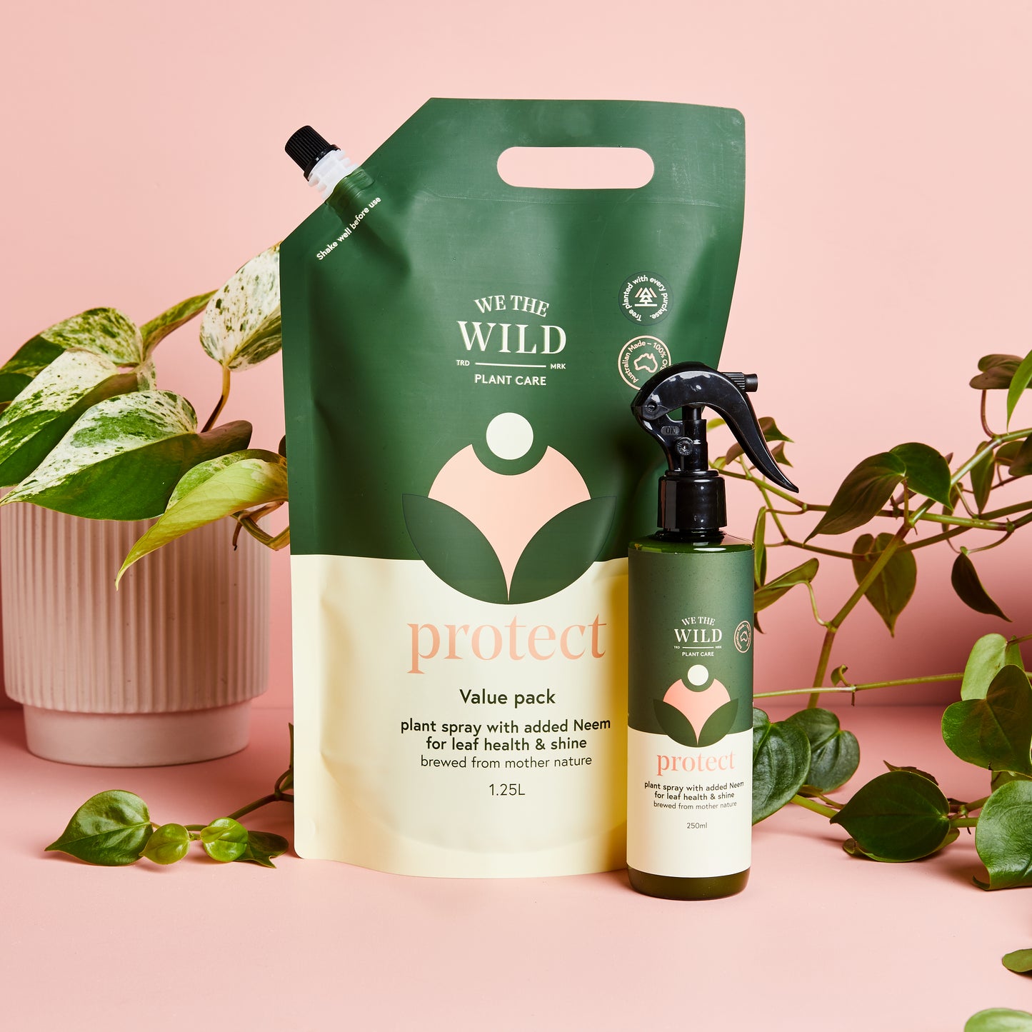 Pest & Leaf Shine Kit