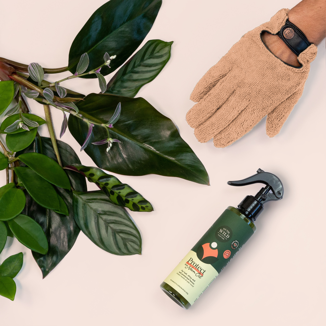 Plant Mum Gift Duo