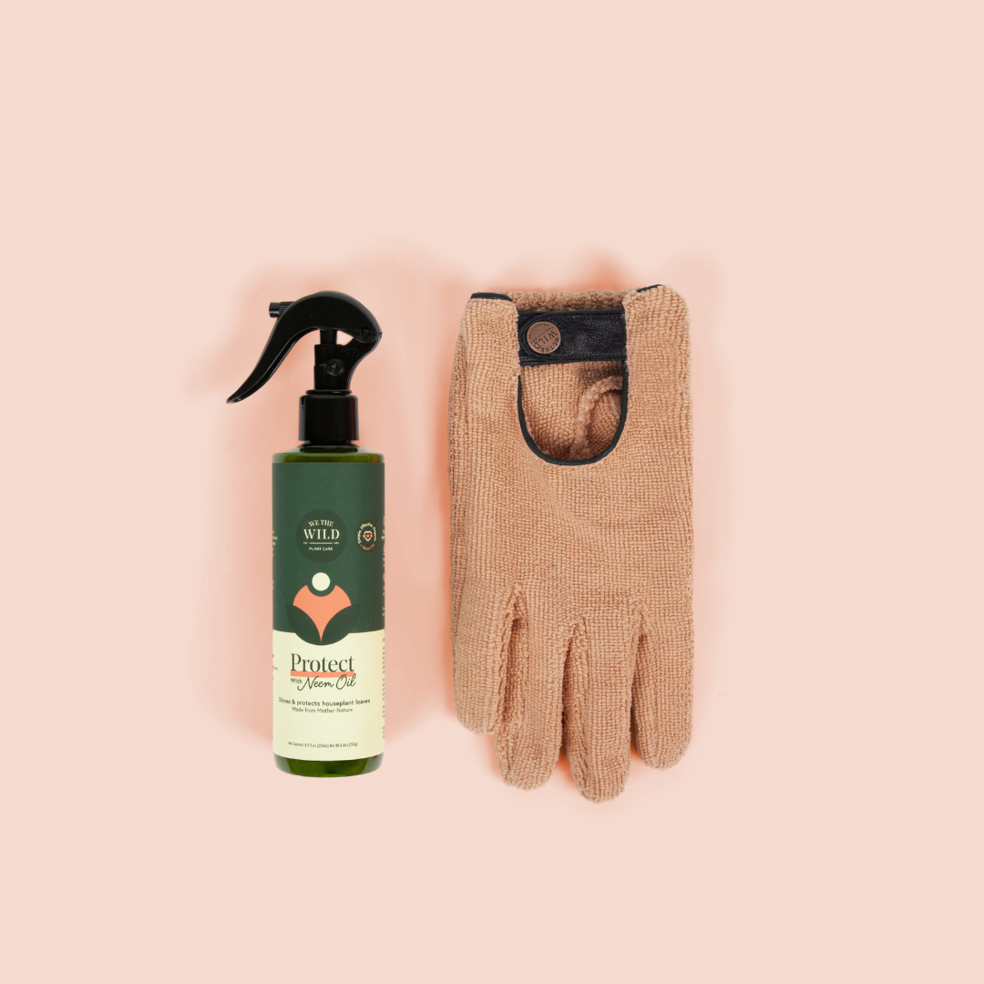 Plant Mum Gift Duo