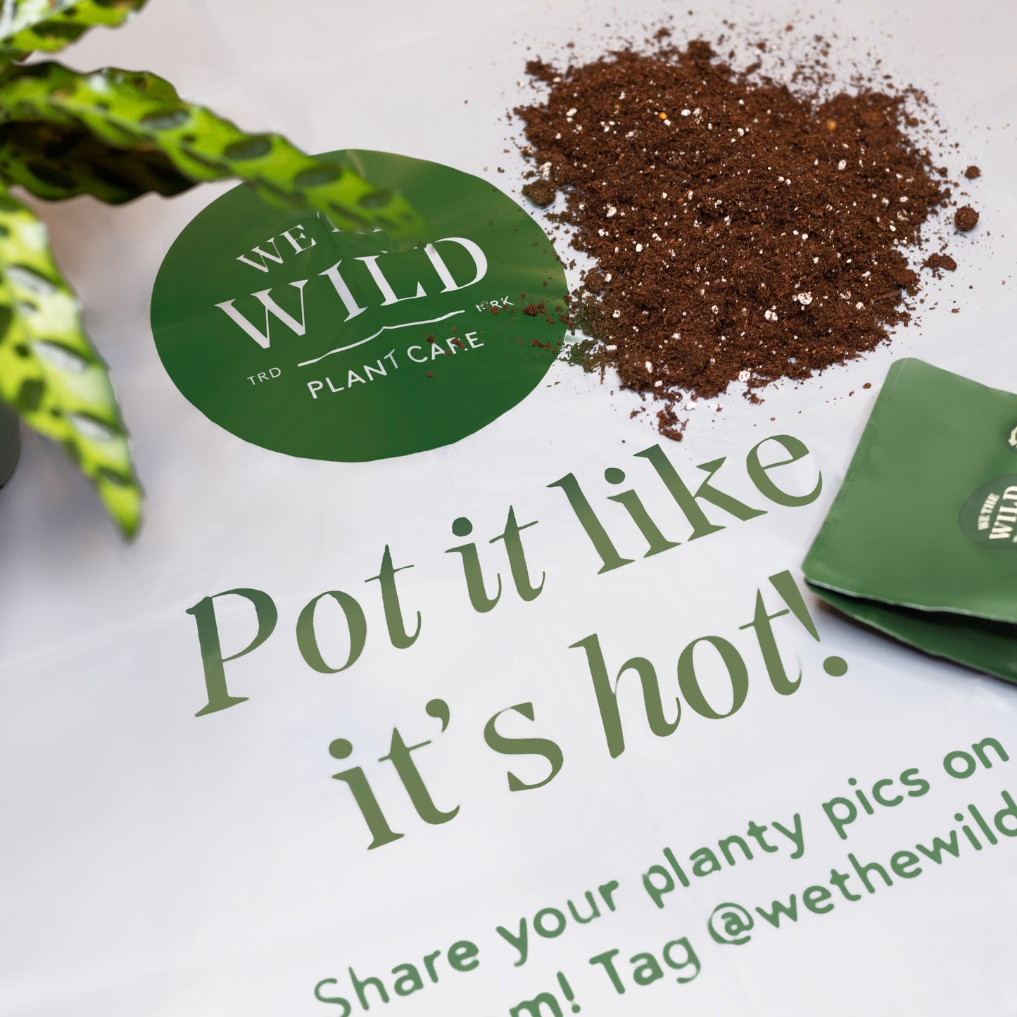 Slow & Fast Release Plant Food Kit
