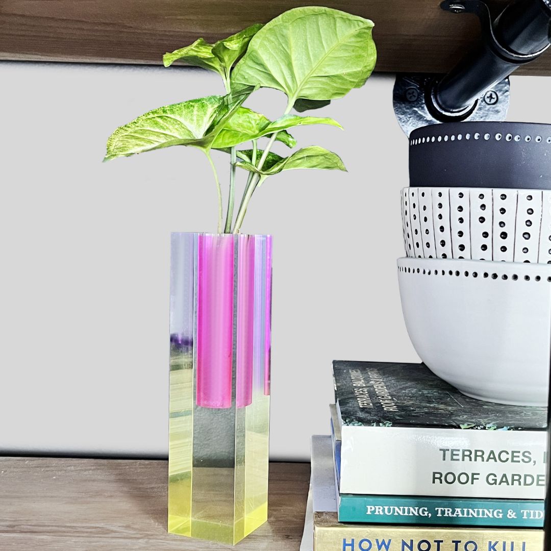 Acrylic Propagation Kit