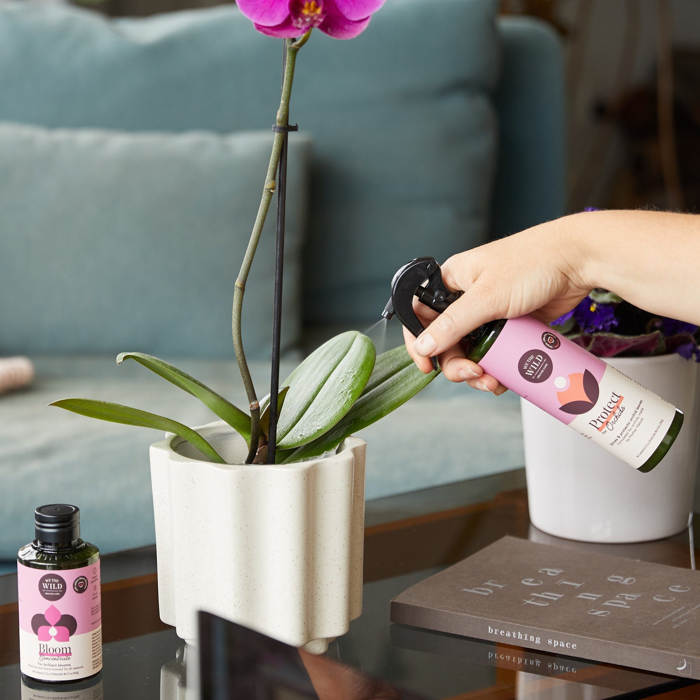 Gift Box Duo