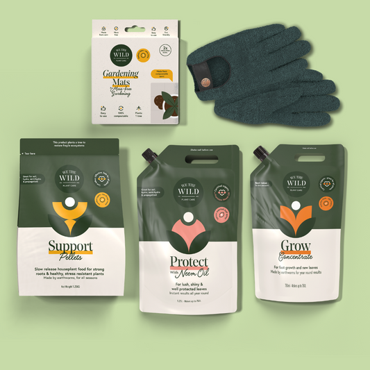 Houseplant Starter Kit