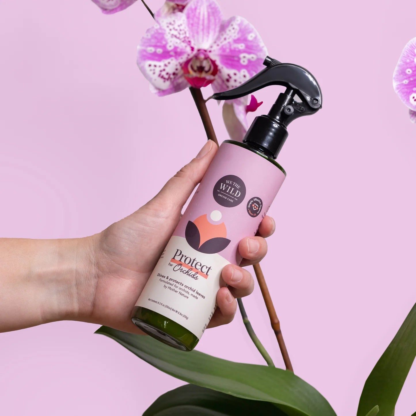 Orchid Protect Spray