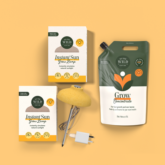 Spring Plant Growth Kit