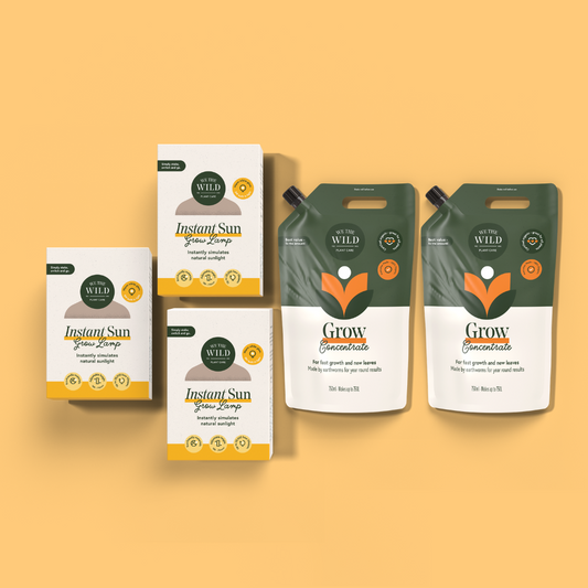 Spring Plant Growth Kit