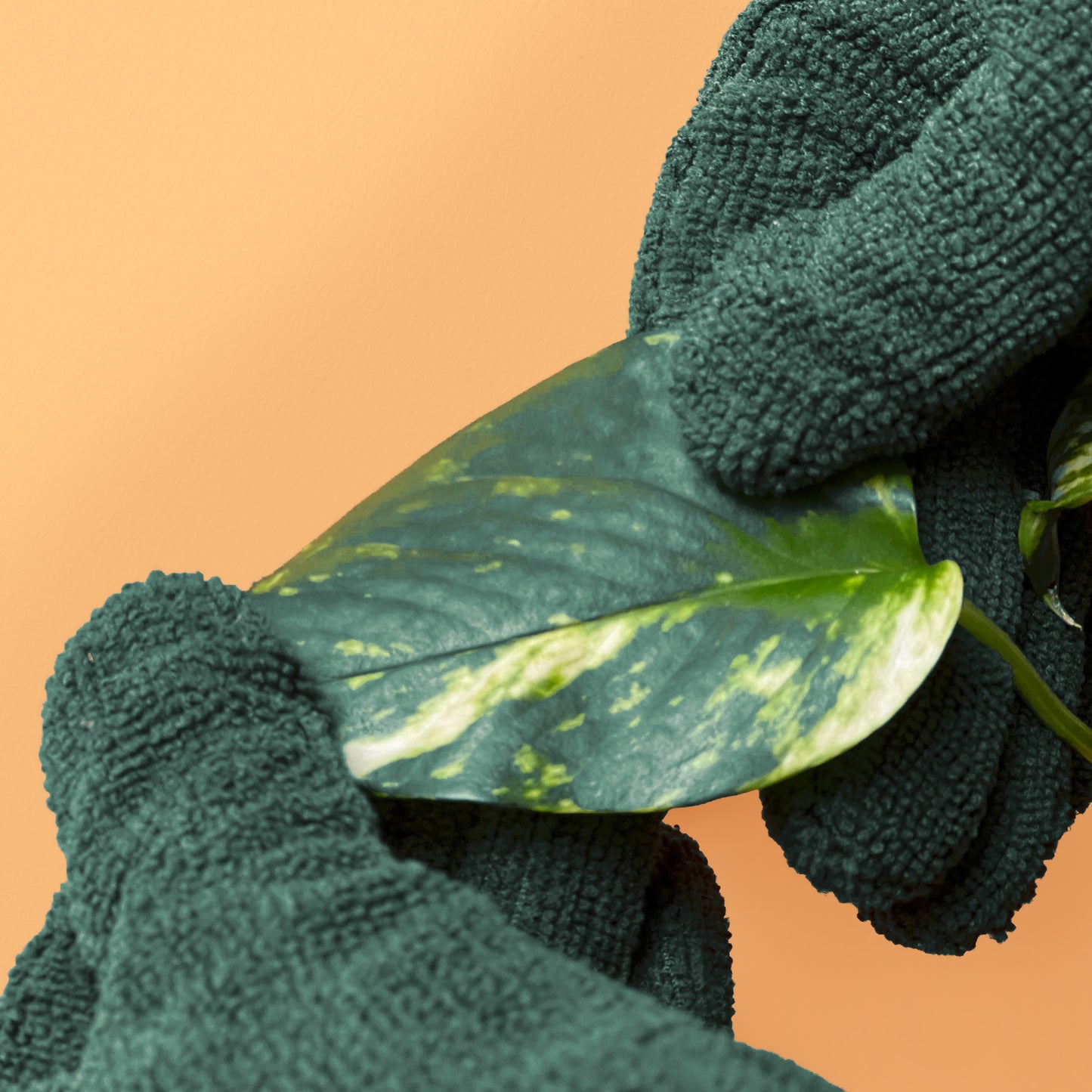 Leaf Cleaning Gloves (Green)