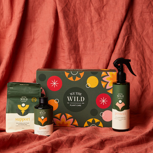 Seasons Greenings Giftbox