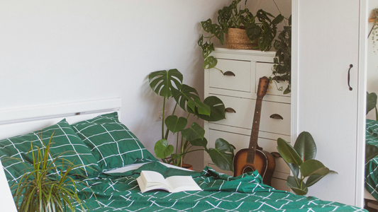 Plant Filled Bedroom