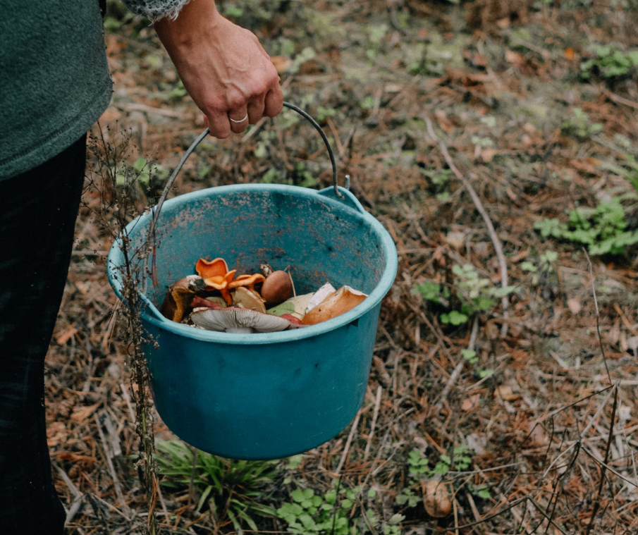 Home composting: some things you should know