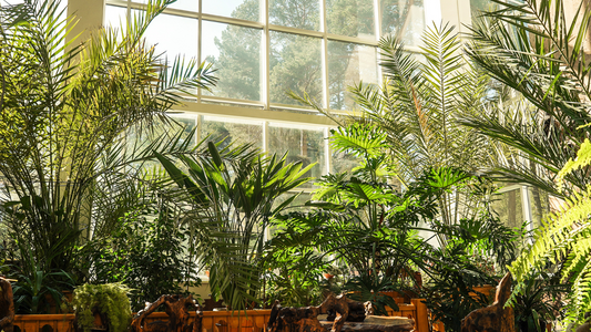 5 Facts That'll Leaf You Amazed: What Every Plant Lover Should Know