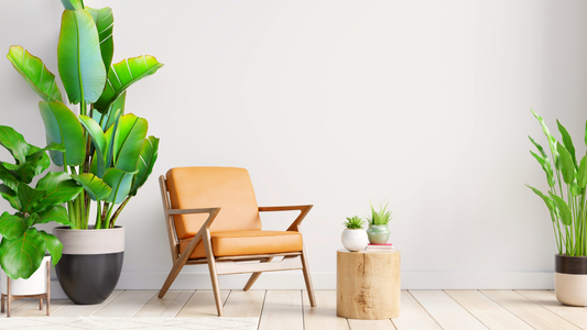 Which houseplants are right for your style?