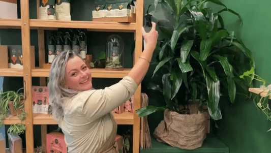 Woman spraying plant