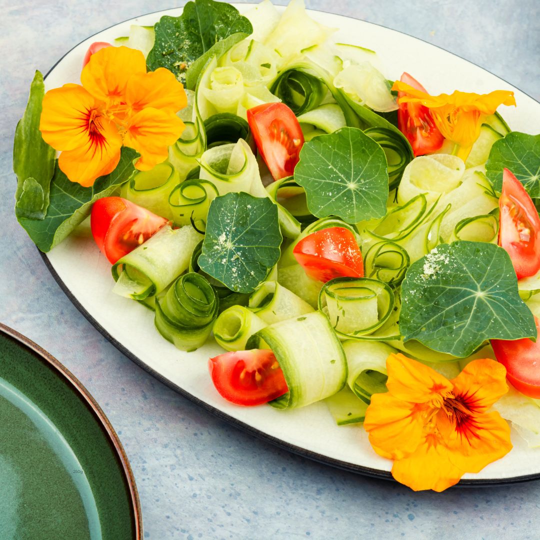 Houseplants You Can Eat! 3 Edible Houseplants That You Can Grow Inside
