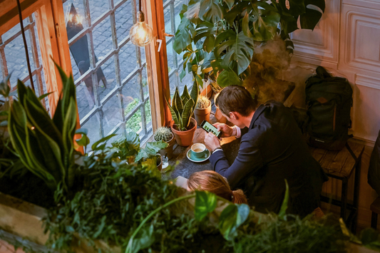 Mindful Greenery: Plant Psychology