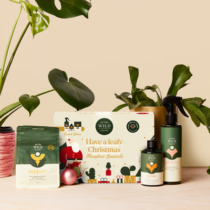 Limited Edition Gift Kits