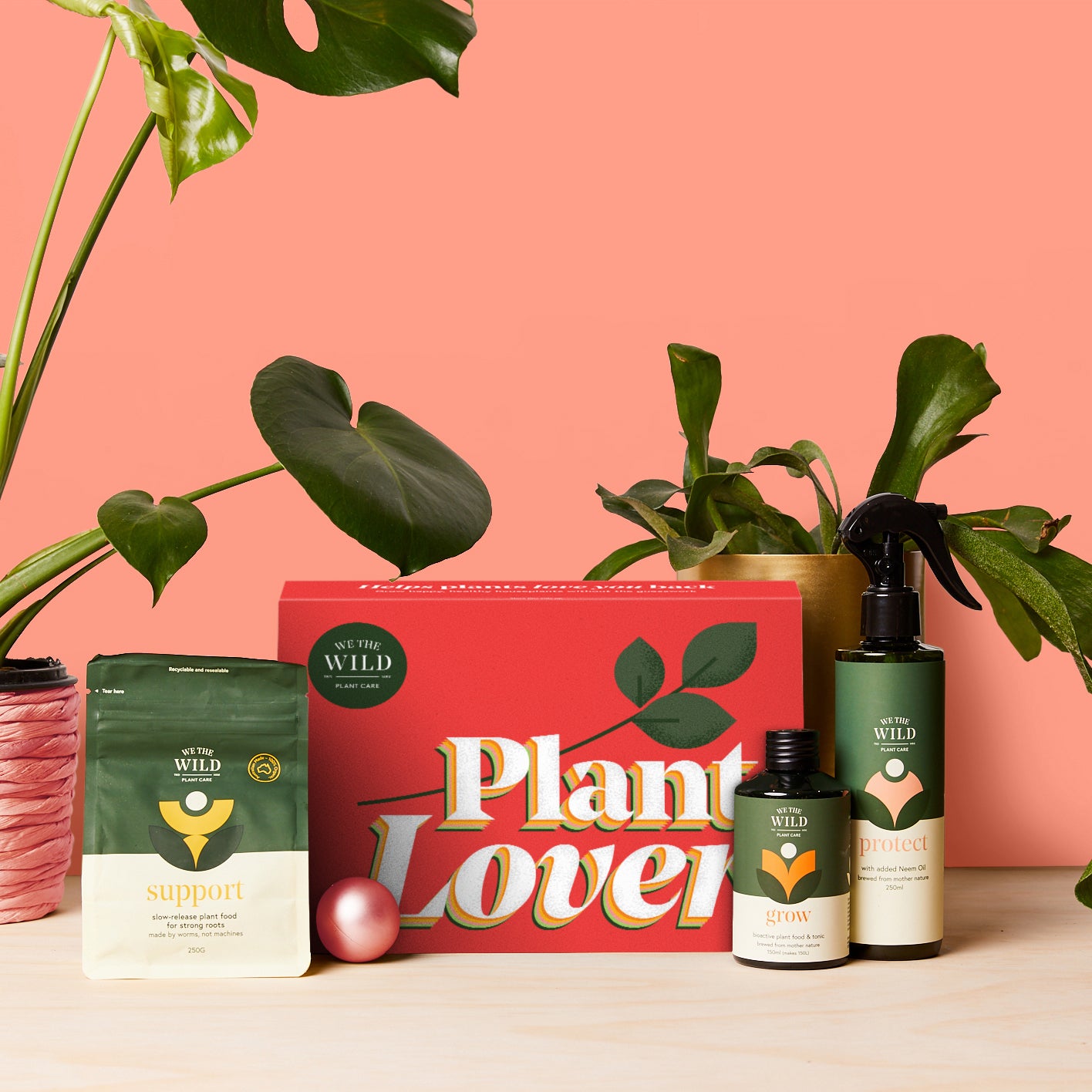 Plant Lover Christmas Plant Care Kit