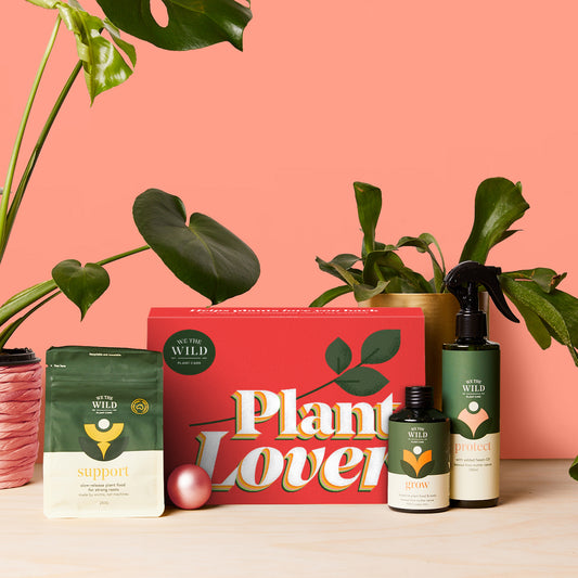 Plant Lover Plant Care Kit
