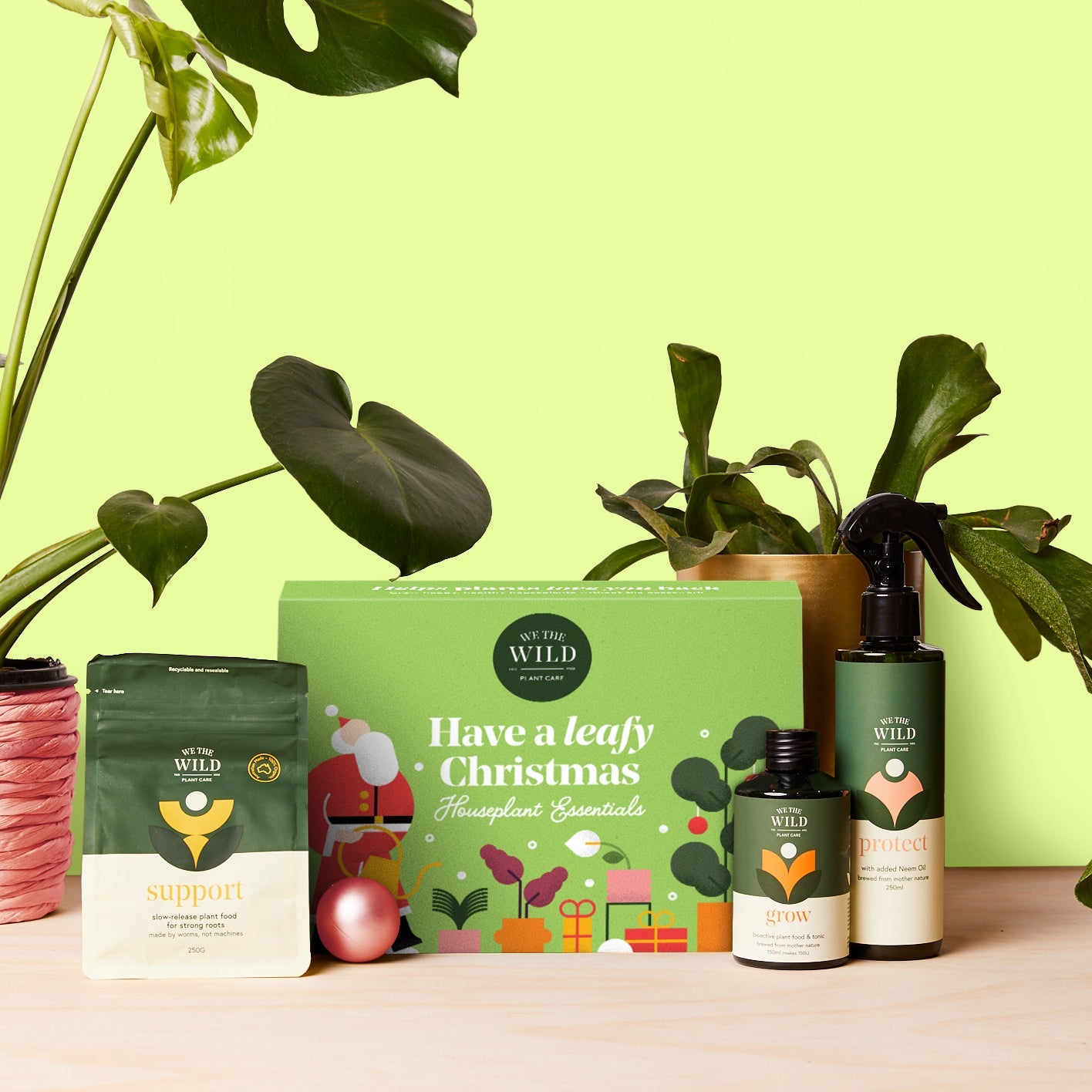 Green Santa Essential Kit