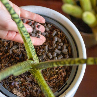 indoor plant fertilizer reddit Support Pellets