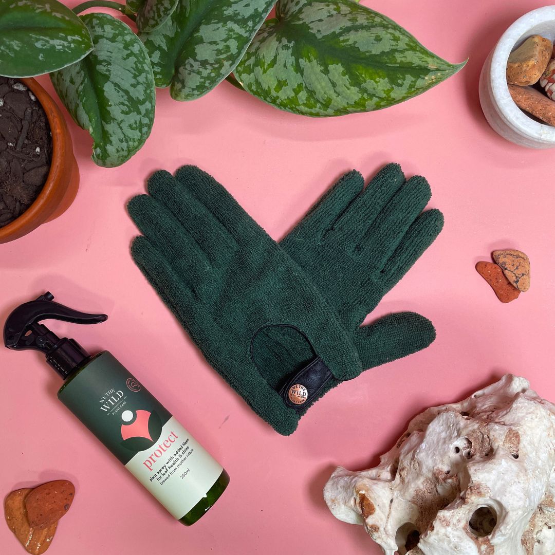 Leaf Health Kit With Gloves