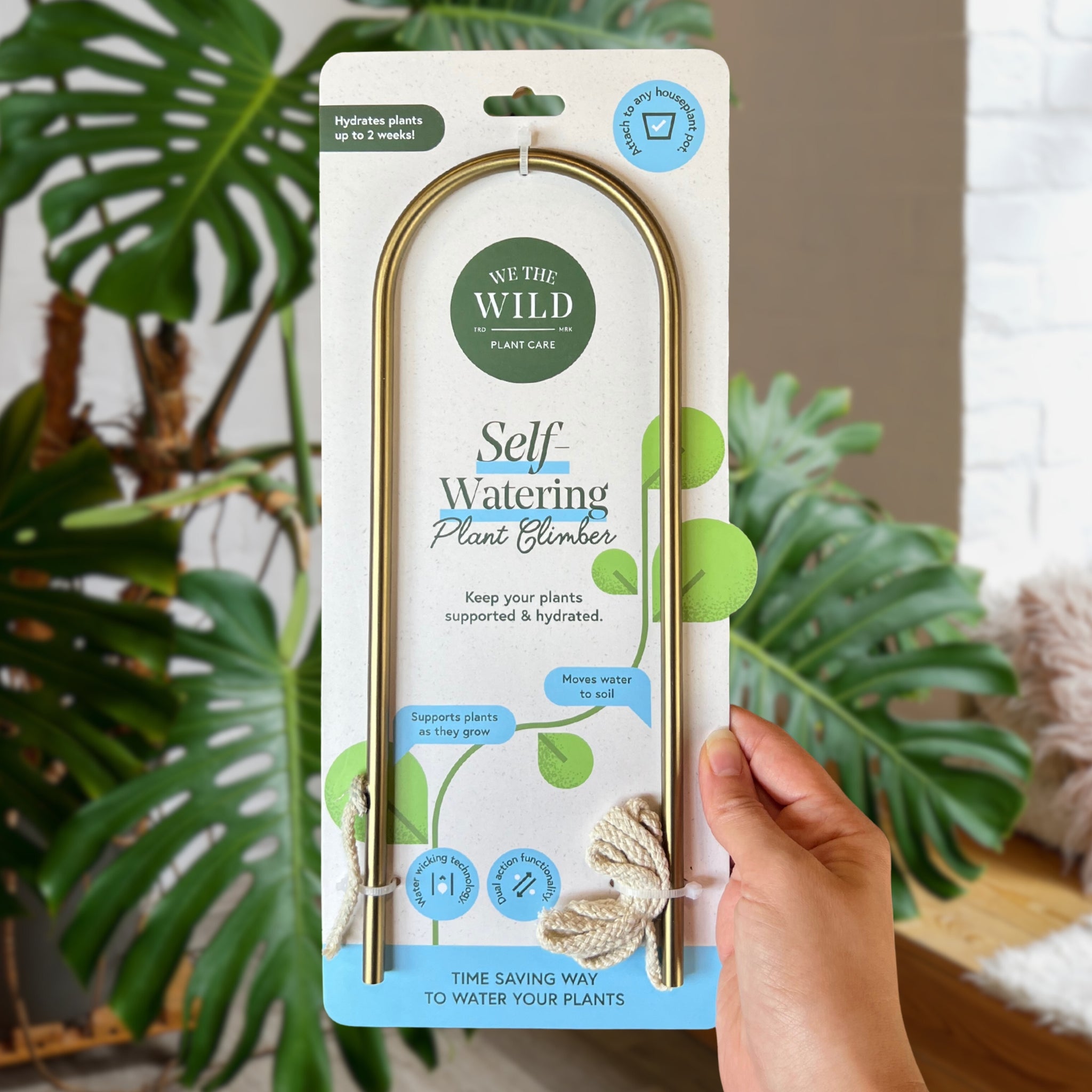 Self-Watering Plant Climber