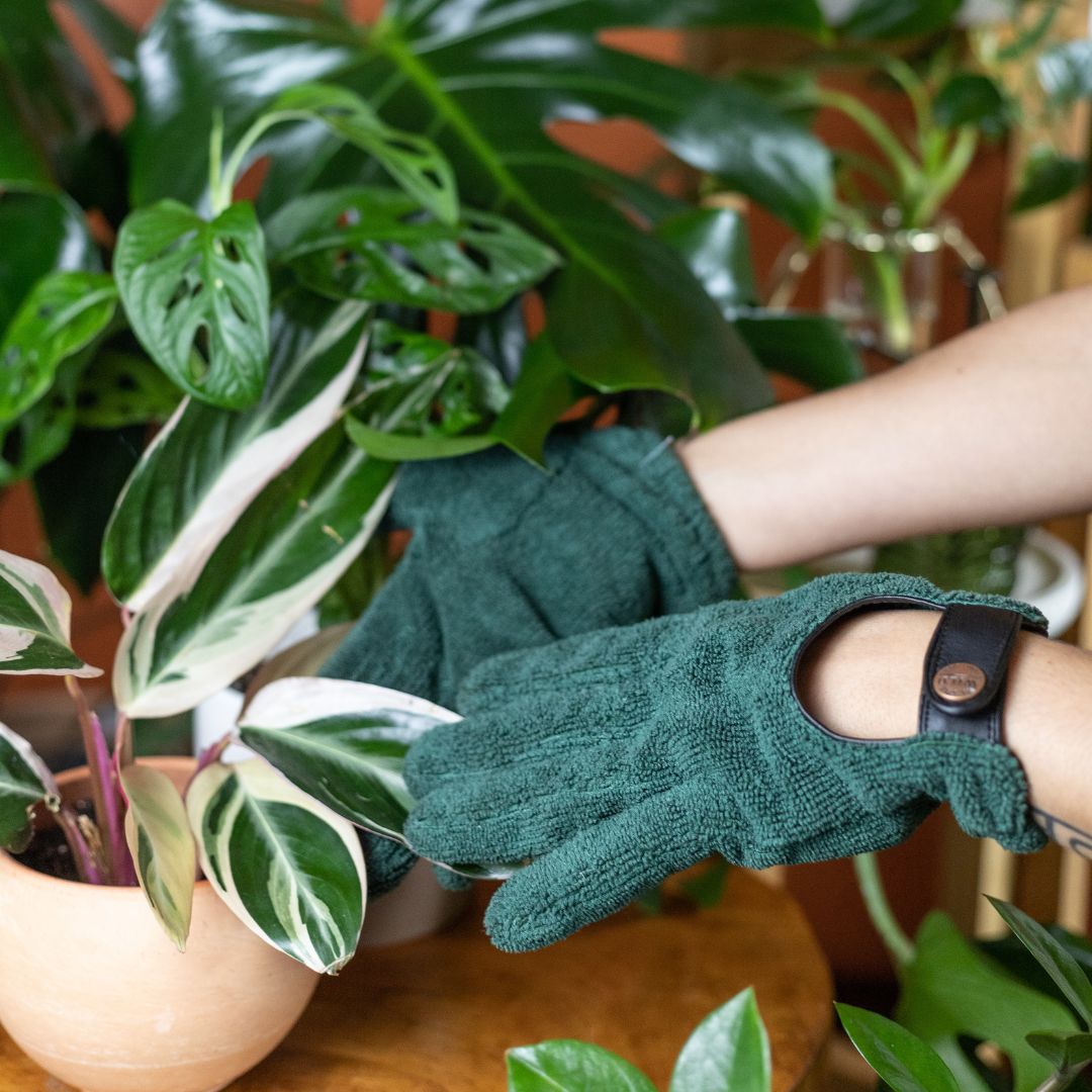 Leaf Health Kit With Gloves