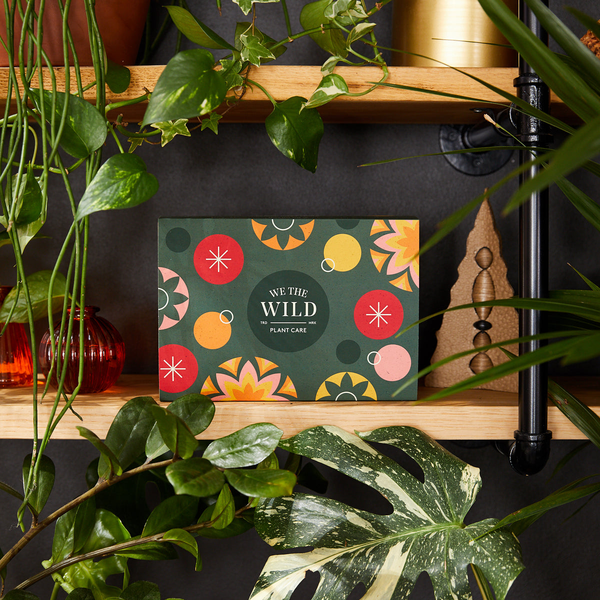 Limited Edition Gift Kits