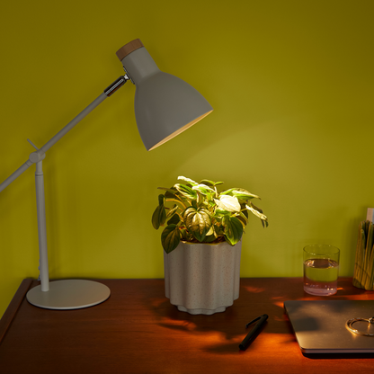 Instant Sun Grow Bulb