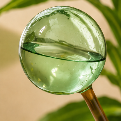 PRE-ORDER Self-Watering Globe